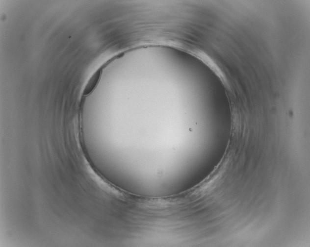 X0000074321100200609152026