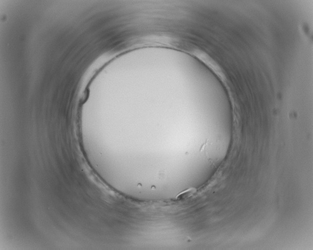 X0000074321104200609152025