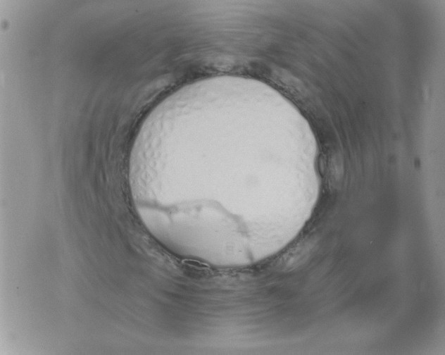 X0000074321105200609152025