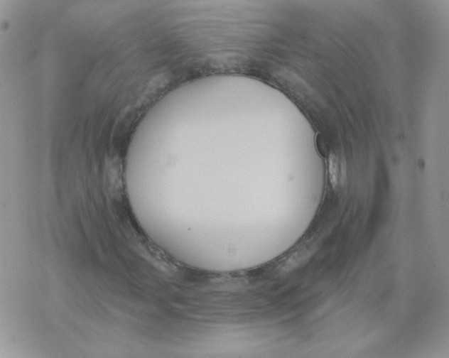 X0000074321107200609152025