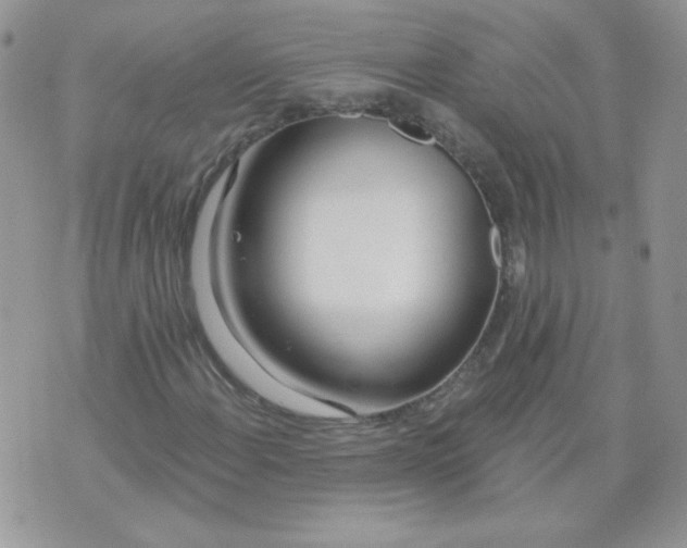 X0000074321108200609152025