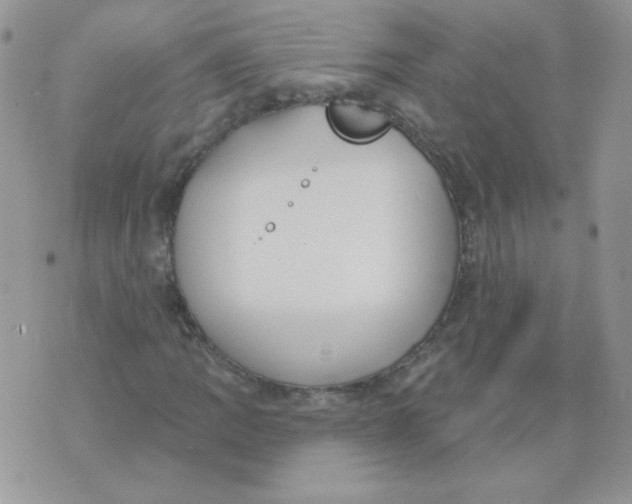 X0000074321109200609152025