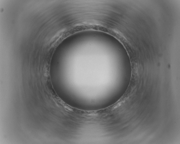 X0000074321110200609152025