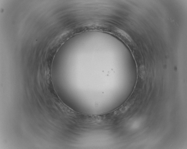 X0000074321111200609152025