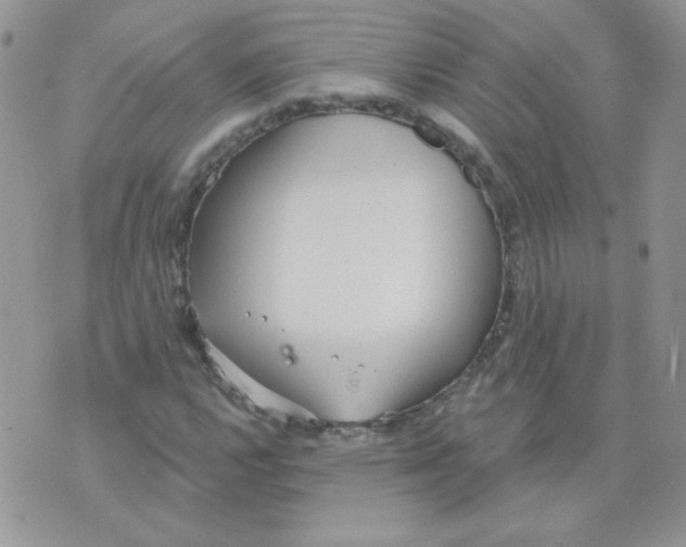 X0000074321112200609152025