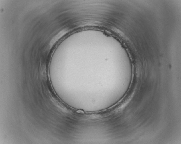 X0000074321113200609152025