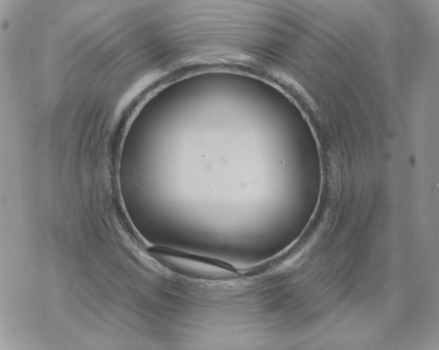 X0000074321114200609152025