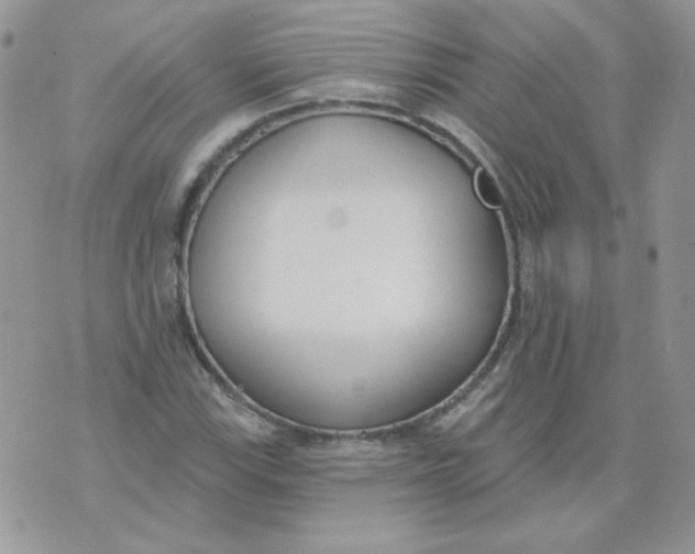 X0000074321115200609152025