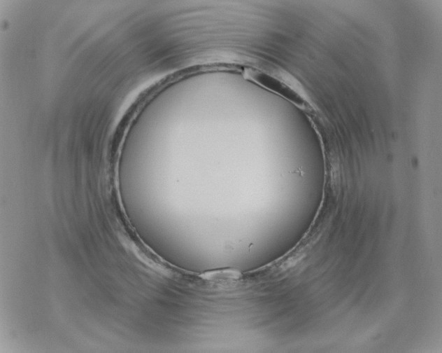 X0000074321116200609152025