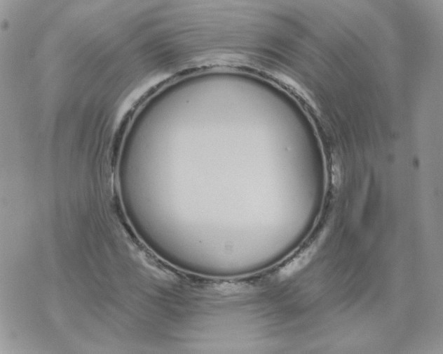 X0000074321117200609152025