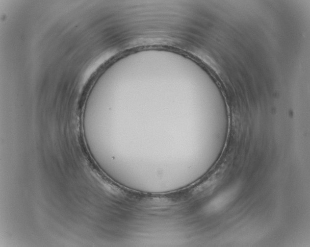 X0000074321119200609152025