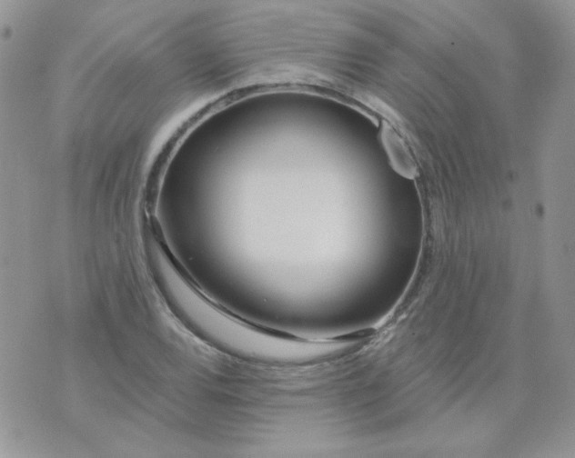 X0000074321120200609152025