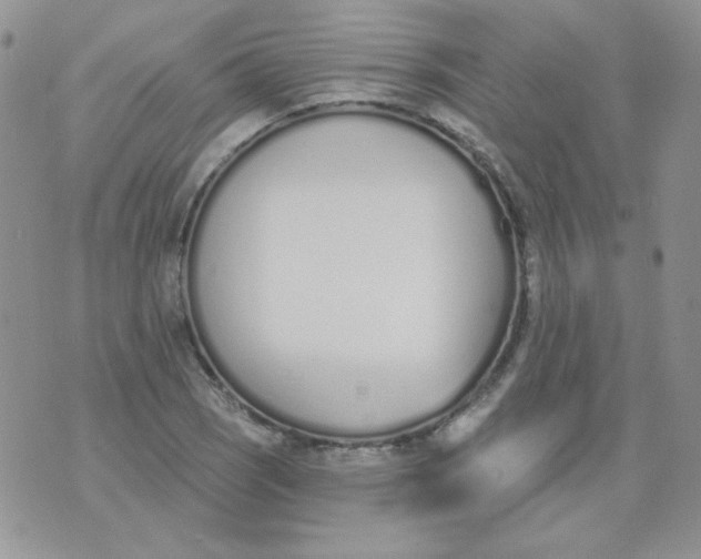 X0000074321121200609152025