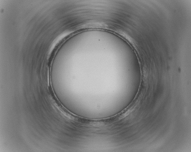 X0000074321123200609152025