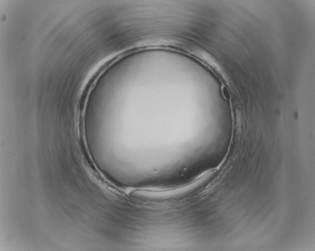 X0000074321124200609152025