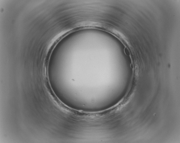 X0000074321125200609152025