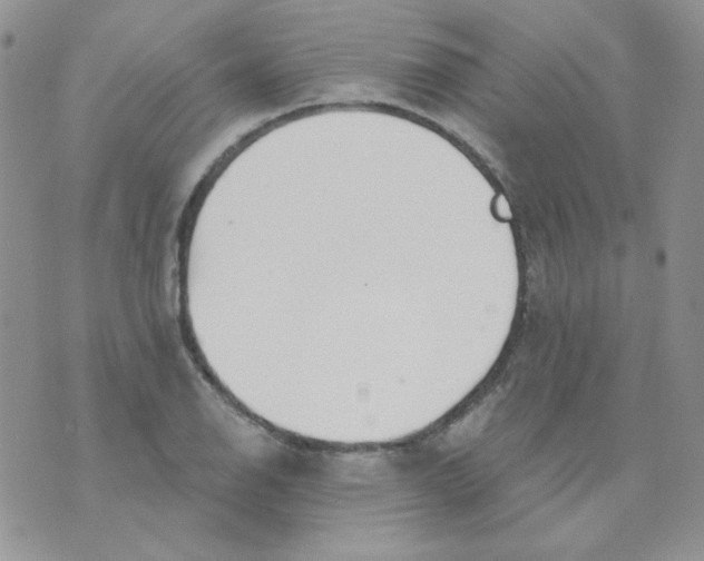 X0000074321126200609152025