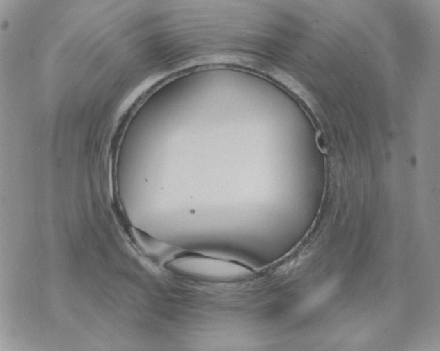 X0000074321127200609152025