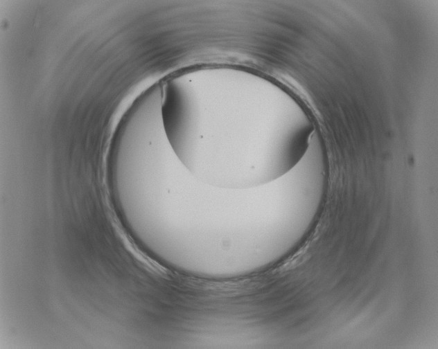 X0000074321128200609152025