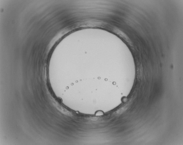 X0000074321130200609152025