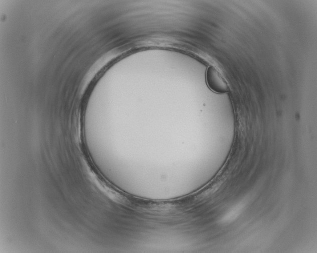 X0000074321131200609152025