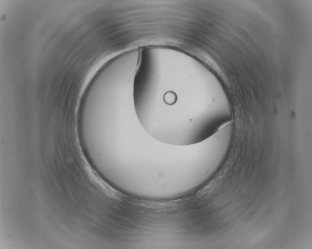 X0000074321132200609152025