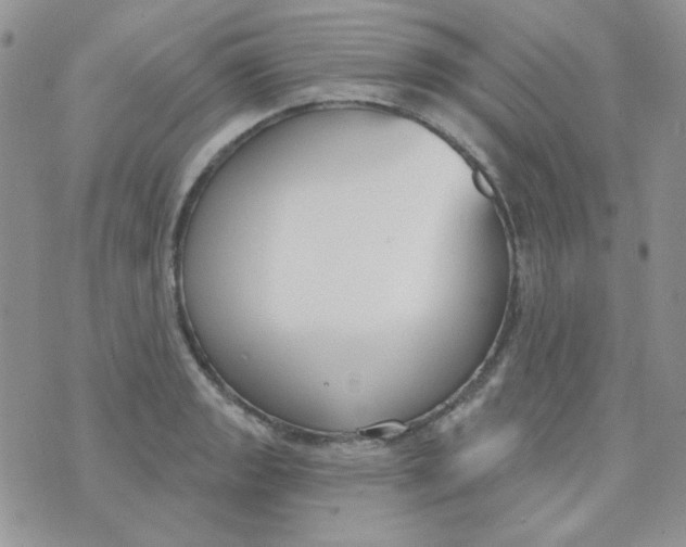 X0000074321133200609152025