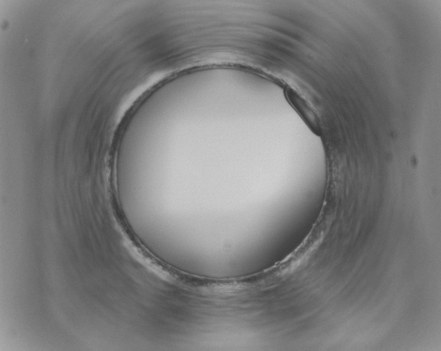 X0000074321134200609152025