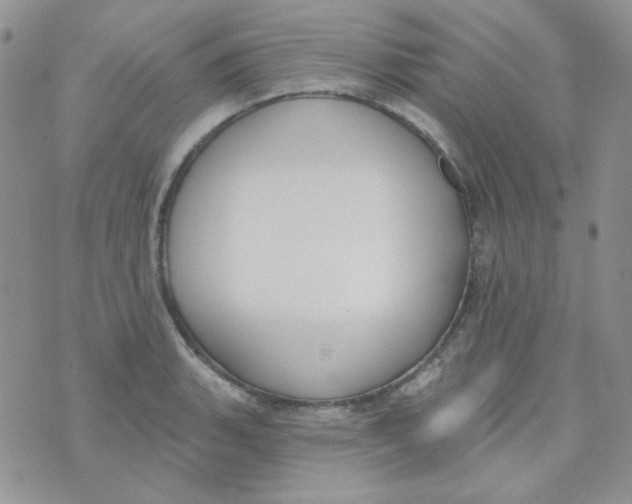 X0000074321135200609152025