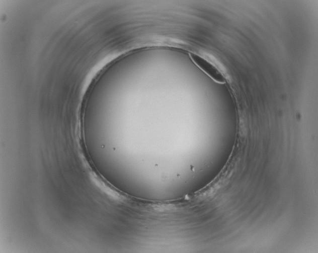 X0000074321136200609152025