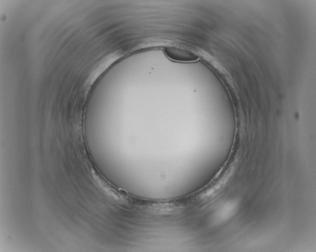 X0000074321137200609152025