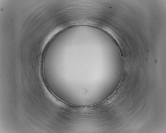 X0000074321139200609152025