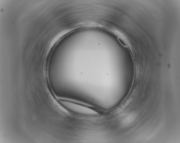 X0000074321141200609152025