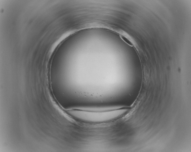 X0000074321142200609152025