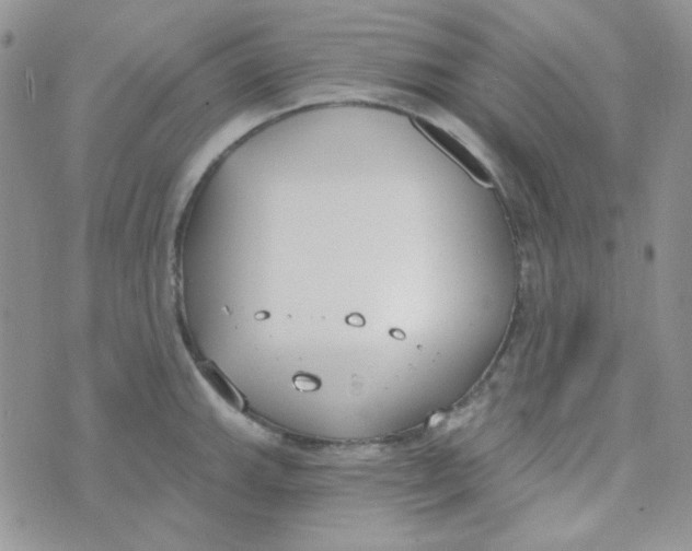 X0000074321143200609152025