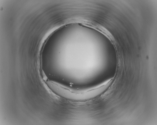 X0000074321144200609152025