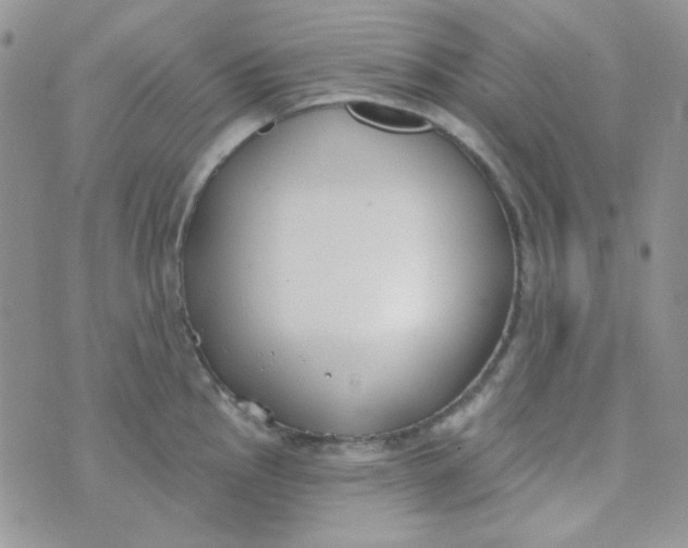 X0000074321145200609152025