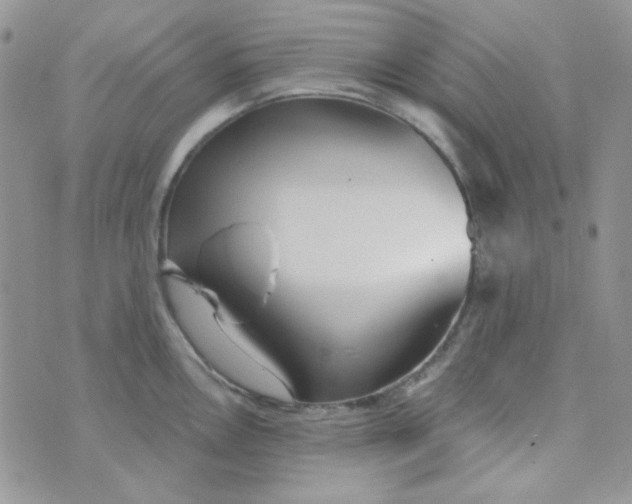 X0000074321146200609152025