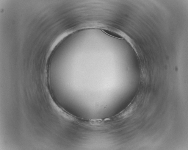 X0000074321147200609152025