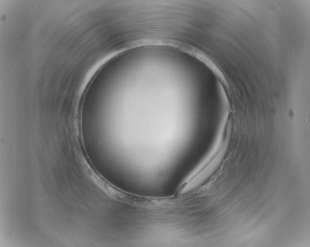 X0000074321148200609152025