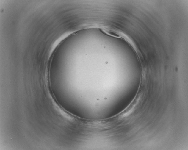 X0000074321149200609152025