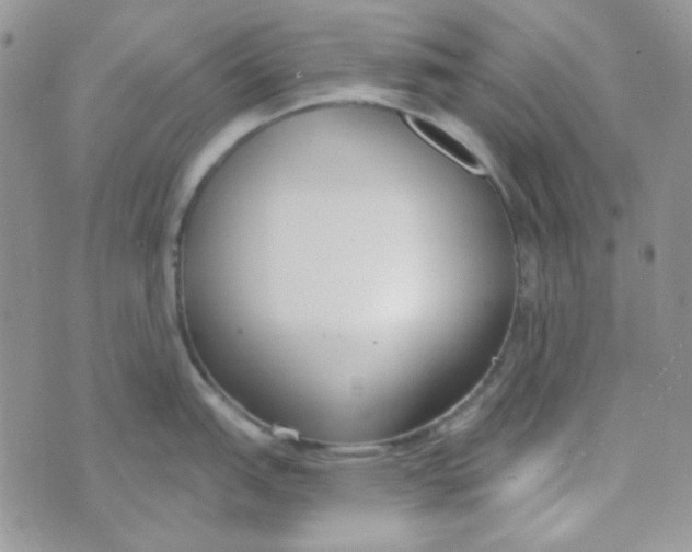 X0000074321151200609152025