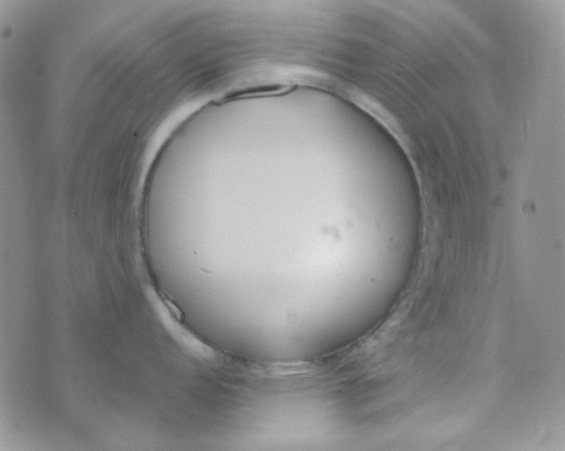 X0000074321152200609152025