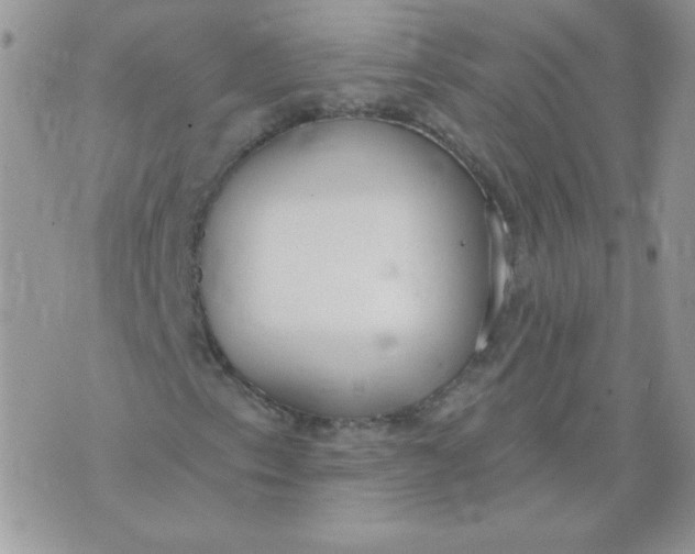 X0000074321153200609152025