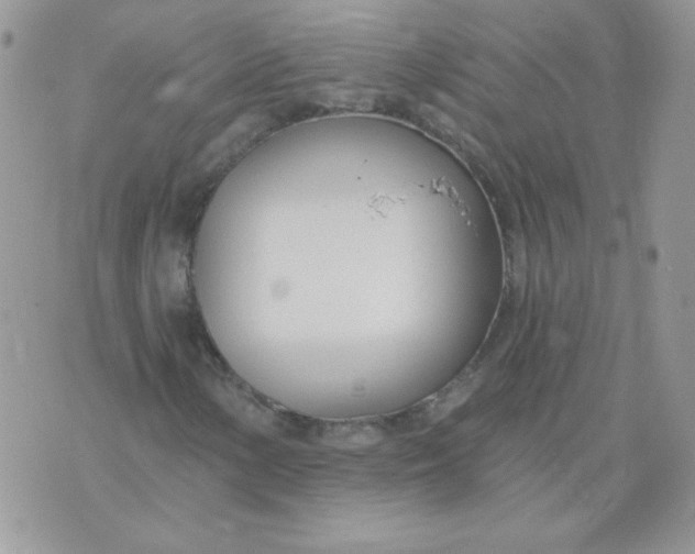 X0000074321154200609152025