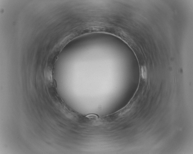 X0000074321155200609152025