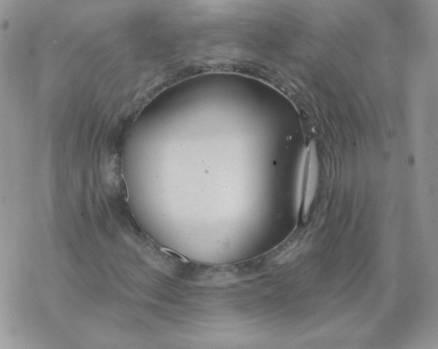 X0000074321156200609152025