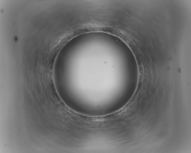 X0000074321157200609152025