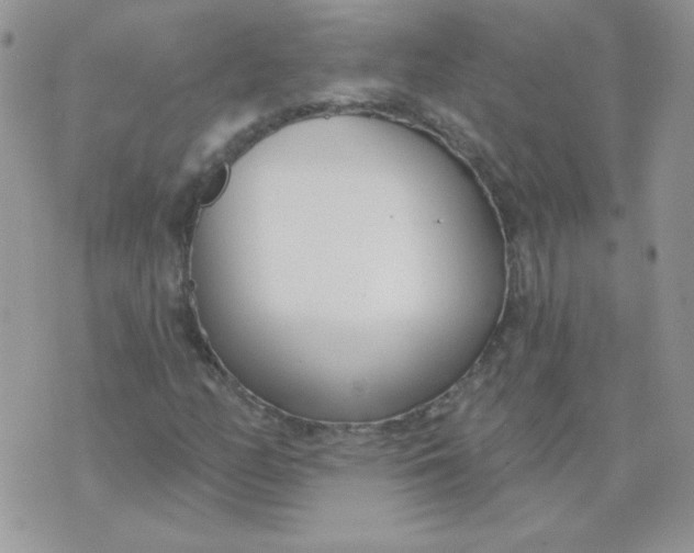 X0000074321158200609152025