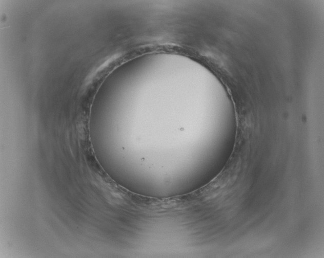 X0000074321159200609152025